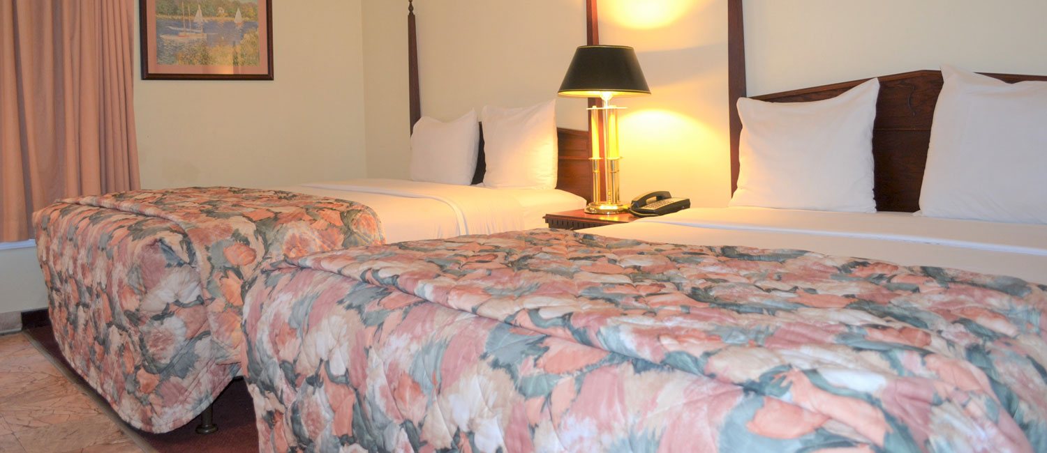 Clean and Comfortable Guest Rooms