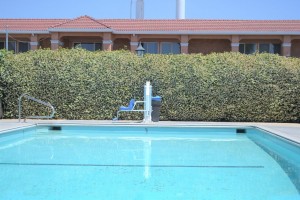 Merced Inn and Suites - Relax by Our Pool